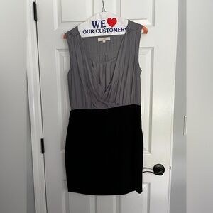 Ann Taylor LOFT dress